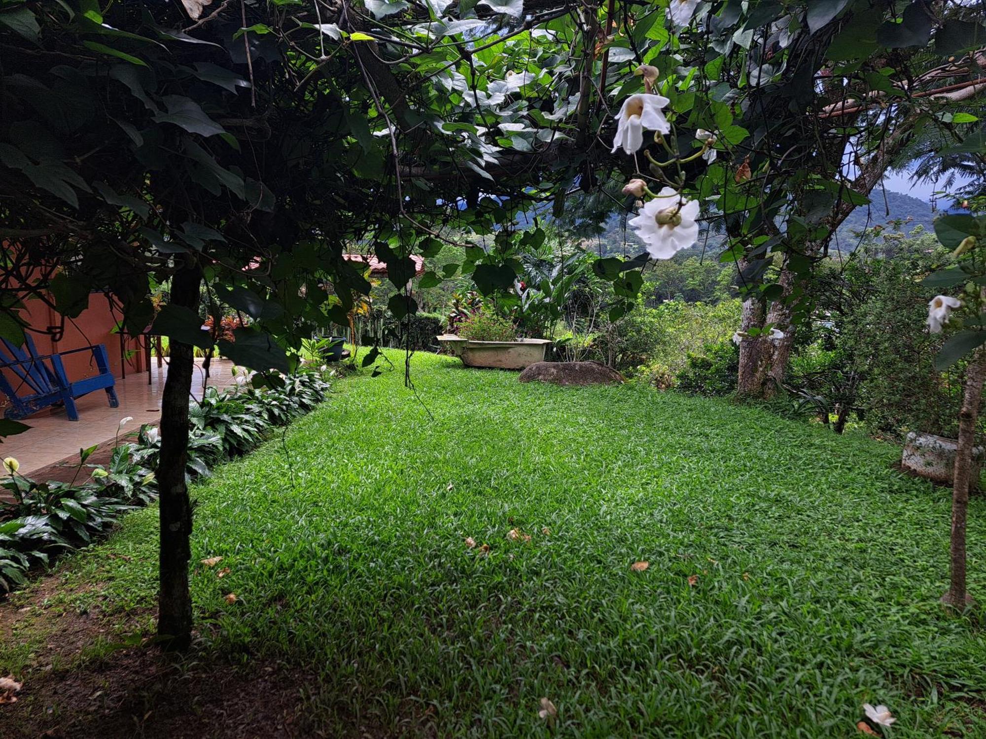 Pejibaye Hospedaje Luis & Ana المظهر الخارجي الصورة
